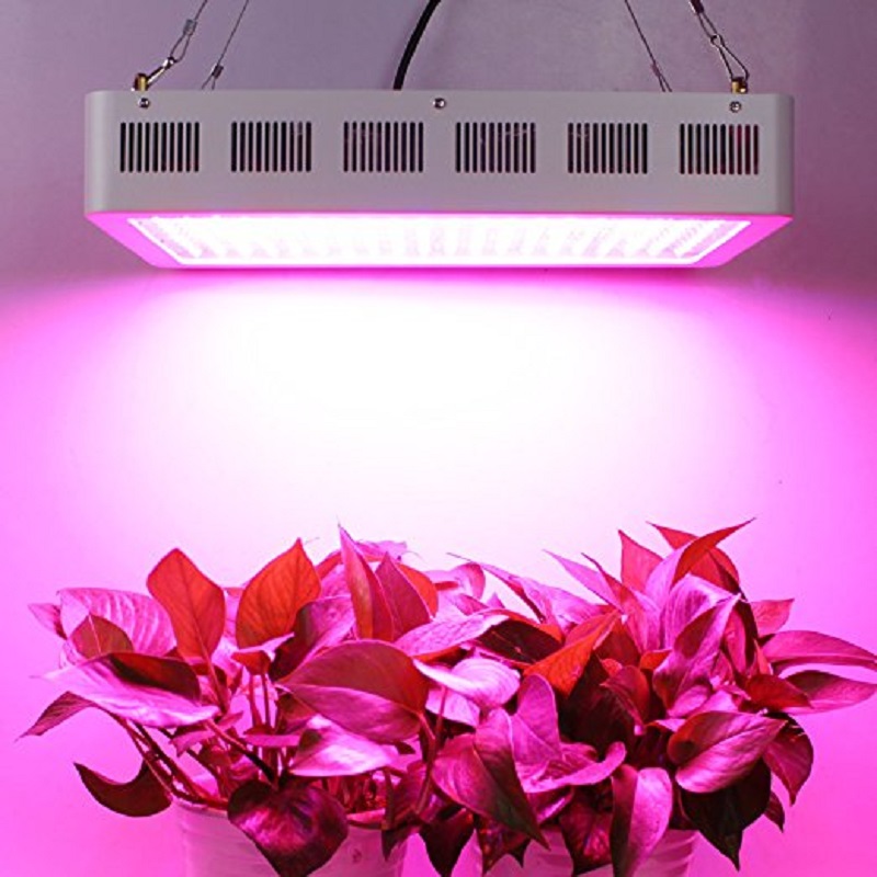 Double Switch IR&UV Dimmable 1200W Grow Light