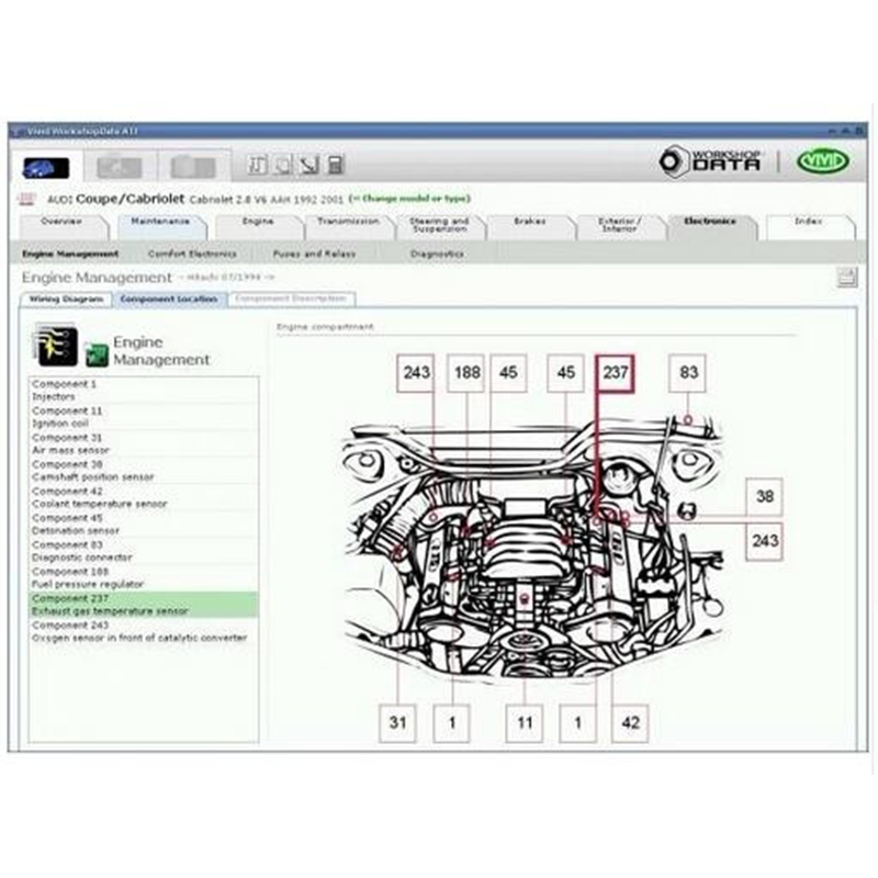 Latest version vivid workshop data v10.2 update to 2010 for repair software collection auto repair software Don't Need To Active