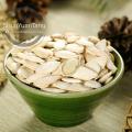 Best Price 100% Natural Pumpkin seed Kernels