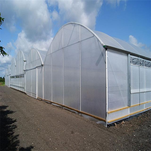 complete set of heat preservation chicken house greenhouse