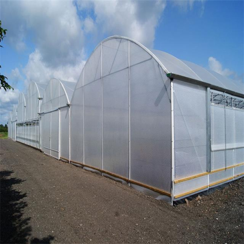 Multi Span Film Covering Greenhouse for Vegetables Manufacturers and Multi Span Film Covering Greenhouse for Vegetables Suppliers