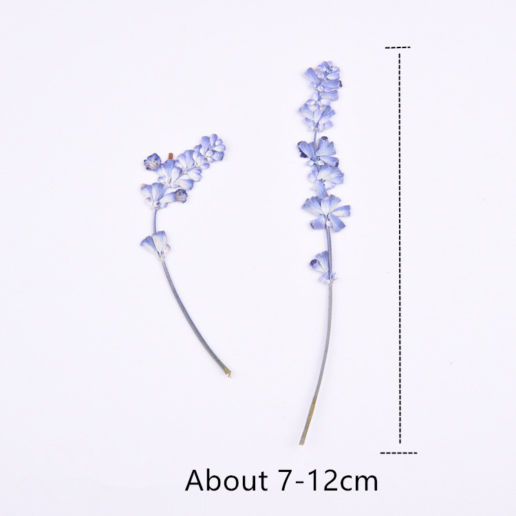 20pcs/lot,Natural Pressed flowers with stem,Eternal real rose flowers for DIY Wedding invitations Craft Photo Bookmark Gift Card