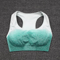 Sexy Sports Bras Women Seamless Fitness Workout Clothes Shockproof Women's Underwear Female Push Up Bra Gym Cropped Top Training