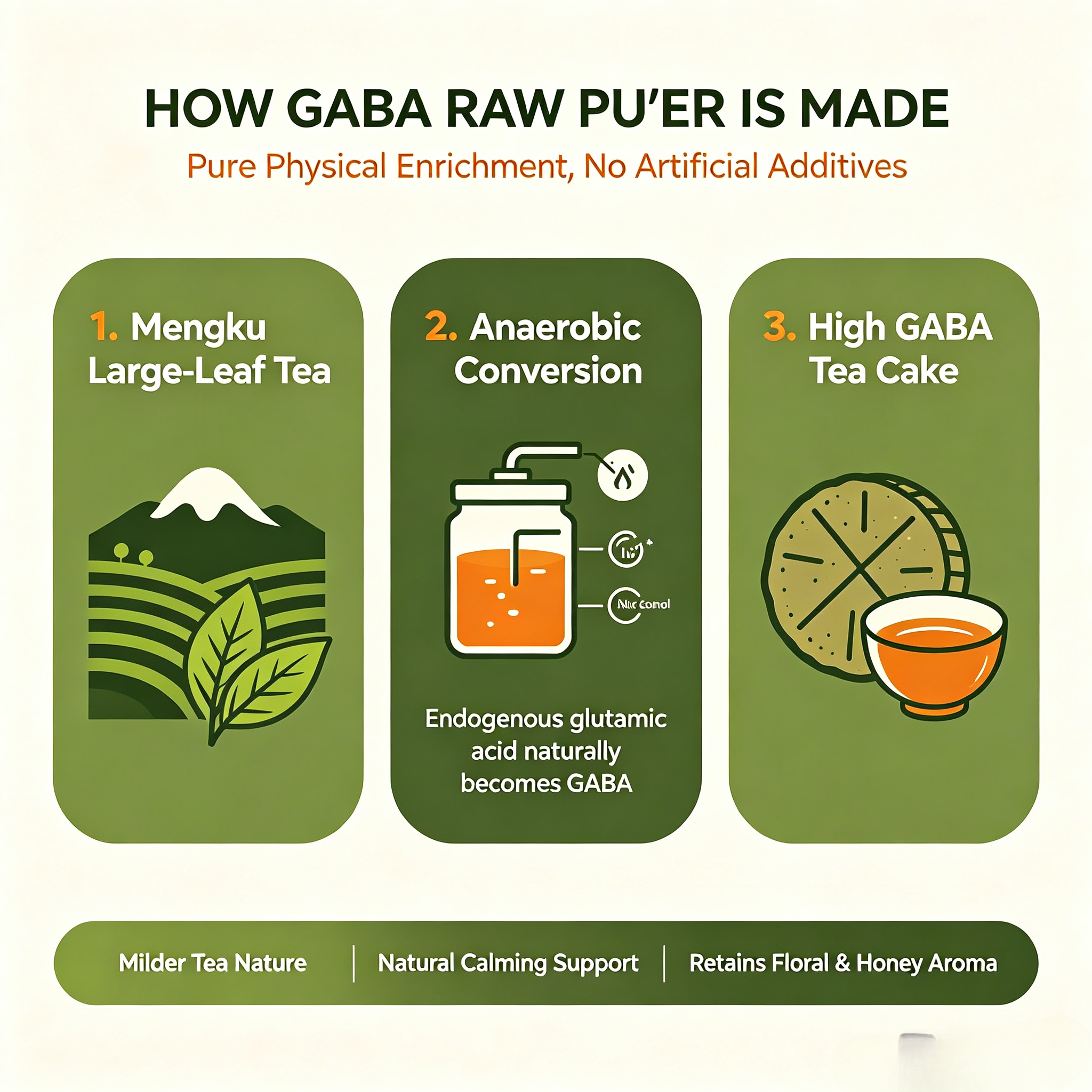 gaba-raw-puer-tea-production-process-infographic