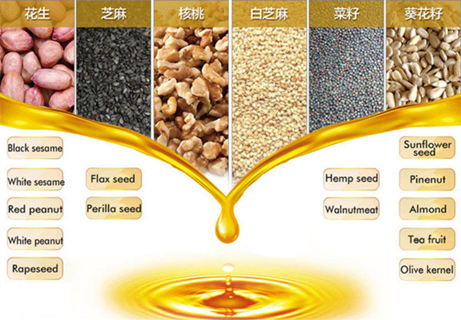 seeds oil extraction machine for home use