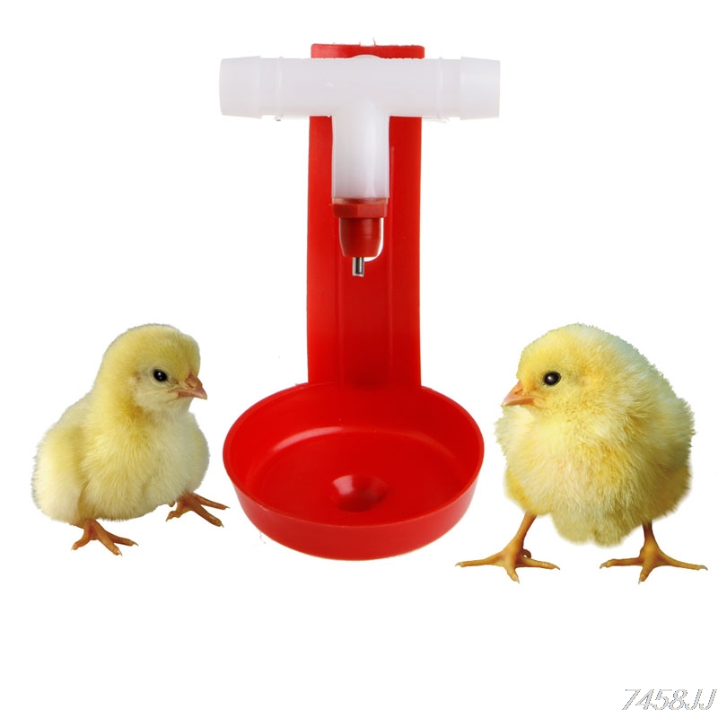 Poultry Water Supplies Plastic Chicken Fowl Drinker Bird Coop Feed Automatic Poultry Water Drinking Cups DropShip