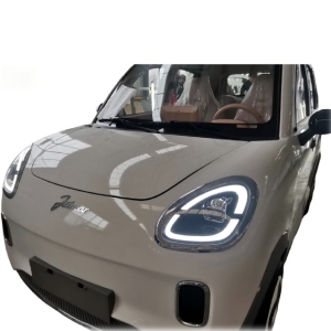 Daytime Running Light Inner Lens for W01 Ruibao