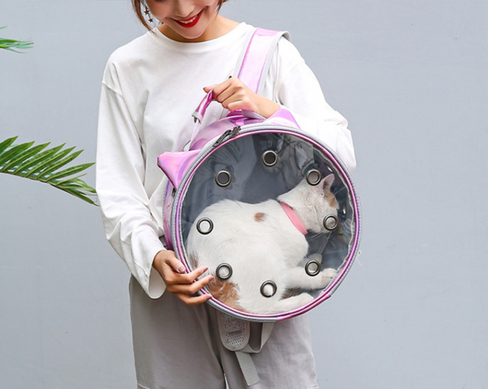 Pet Carrier Grey