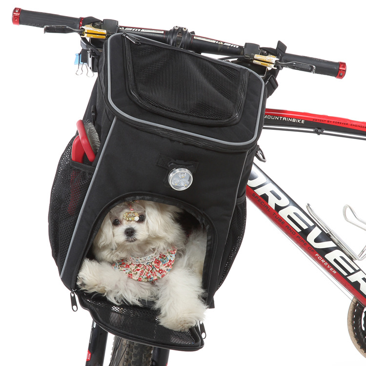 Backpack Back Jpg