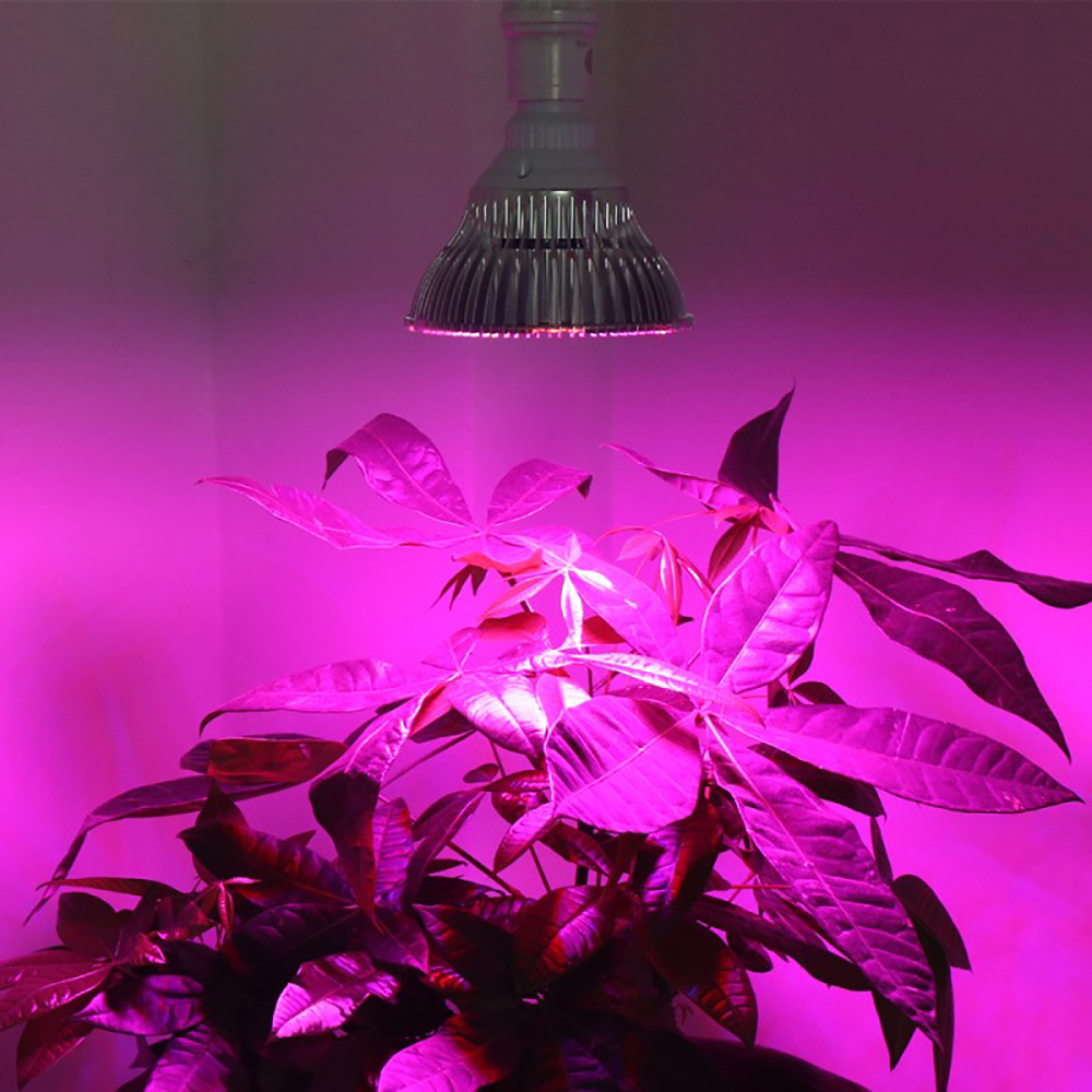 Leds Grow Light Full Spectrum 8W-80W E26/27 Led Plant 18-120LEDs Growing Lamps Light Bulbs Greenhouse Indoor Garden AC85-265V