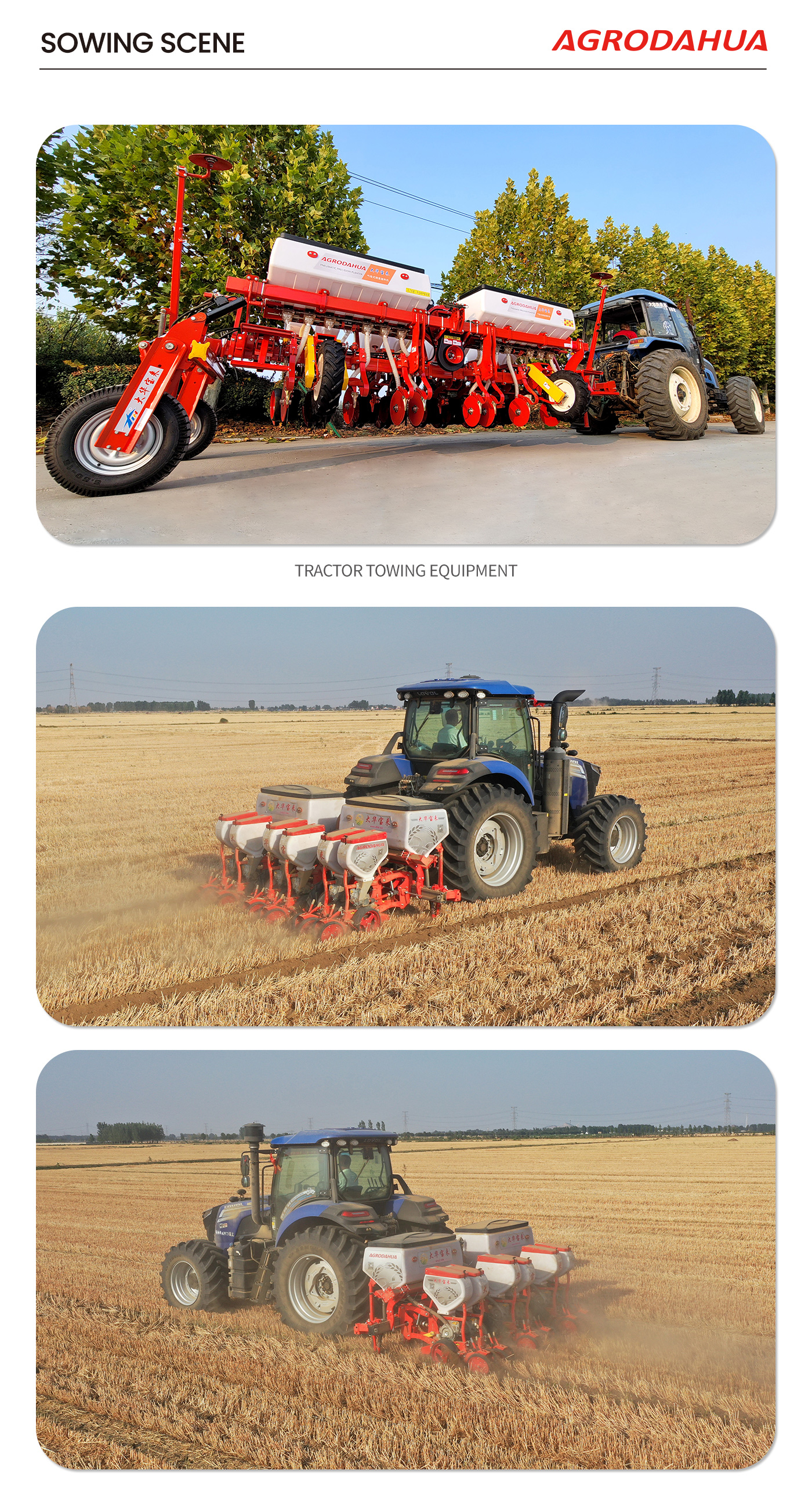Special price seeder