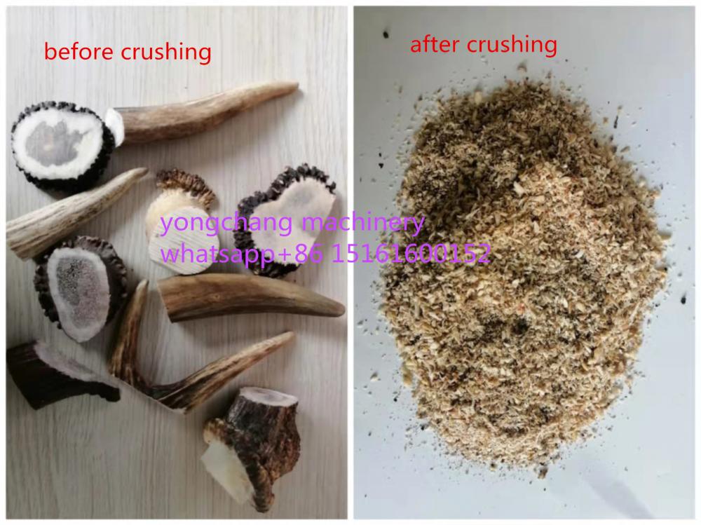 Deer Bones Powder