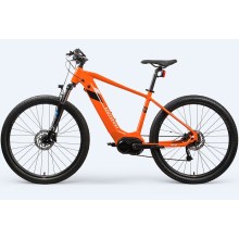 Mountain Electric Bike With Pedals