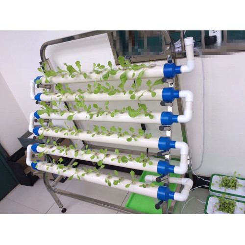 Small NFT Garden Hydroponic System with 66holes Manufacturers and Small NFT Garden Hydroponic System with 66holes Suppliers