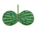 Watermelon Pattern Portable 24pcs Disc Capacity DVD CD Storage Case Organizer Sleeve Wallet Cover Bag Box Environment Protect CD