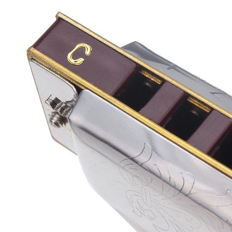 Folkmaster 1072 Standard Beginner Diatonic Blues Harmonica Gaita 10 Holes Key of A C D E F G Musical Instrument