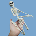 Skeleton simulation plastic decoration secret room haunted house props decoration doctor laboratory learning utensils 1 Pcs