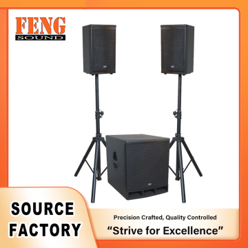 Durable Outdoor Live Performance Sound System