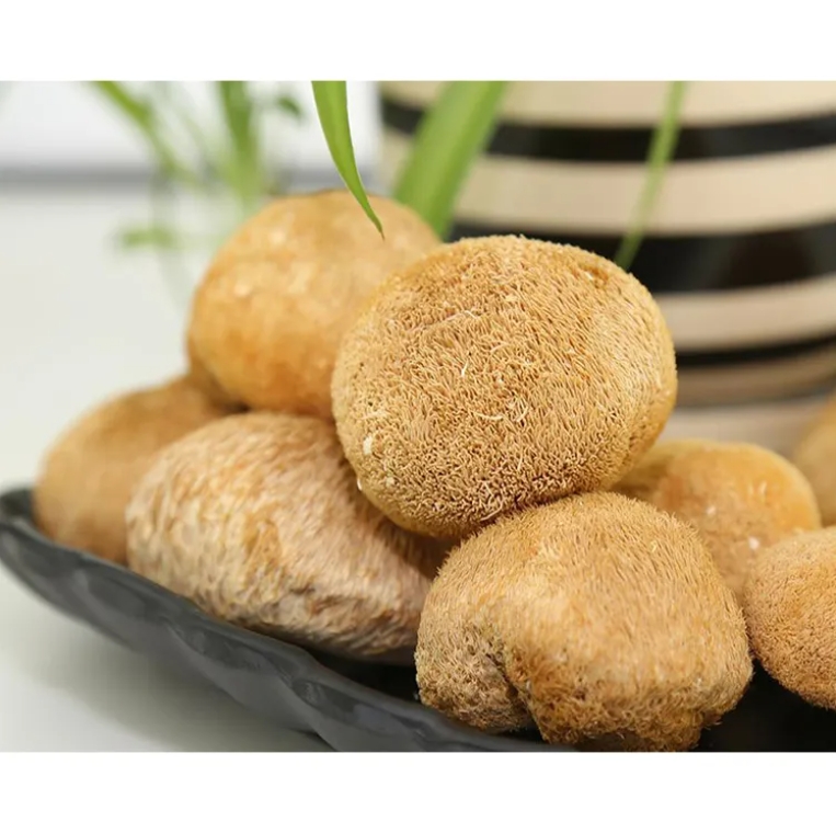 Hericium Erinaceus Mushroom