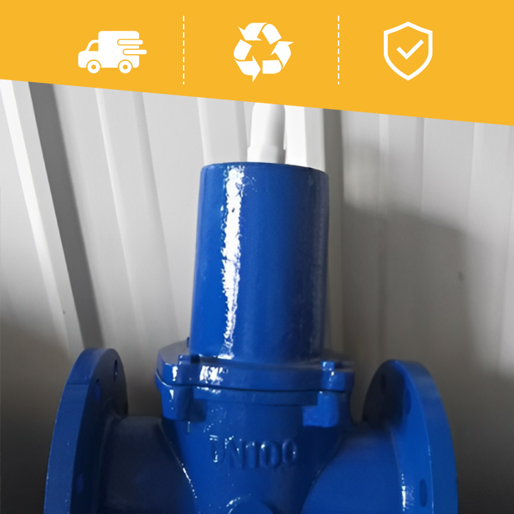 Vacuum Regulator Valve