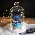 Eternal Preserved Fresh Rose Lovely Teddy Bear Molding Led Light In A Flask Immortal Rose Valentine's Day Mother's Day Gifts