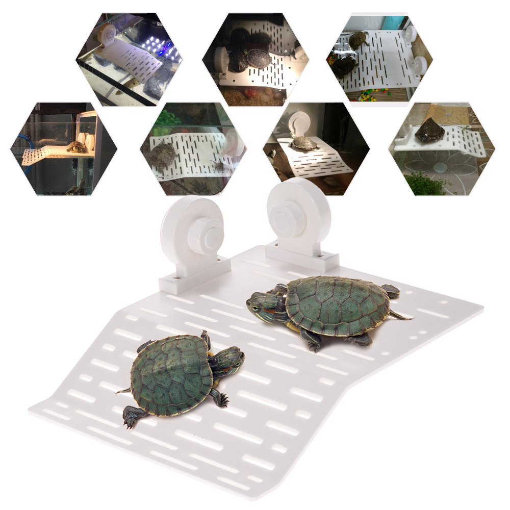 Dadypet XL Aquarium Tank Turtle Basking Platform Dock Floating Amphibian Turtle Pier Topper Basking Island Terrace