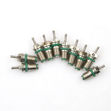 10Pcs/lot Car AC R134A Valve Core Needles Assortment 134a Refrigerant Heat Resistant High Quality