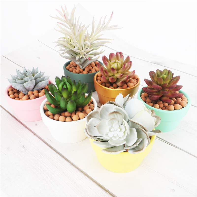 Mini Colorful Pottery Low Round Flower Pot Terracotta Plant Pot Hole Pottery Clay Planters For Cacti And Succulent Plants