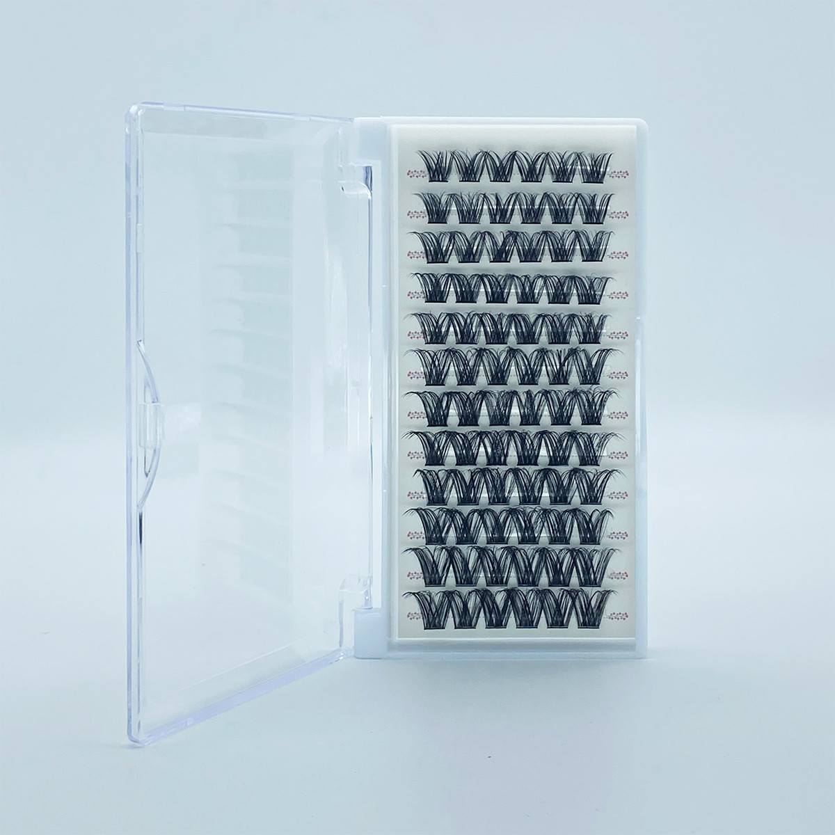 lash clusters