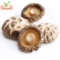 Healthy Organic Food dry Dried Shiitake Mushroom