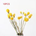 10PCS