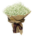 15-22`` 100g Natural Babys Breath Flowers Bouquet Fresh Real Touch Forever Baby`s Breath Flower For DIY Eternal Flower Material