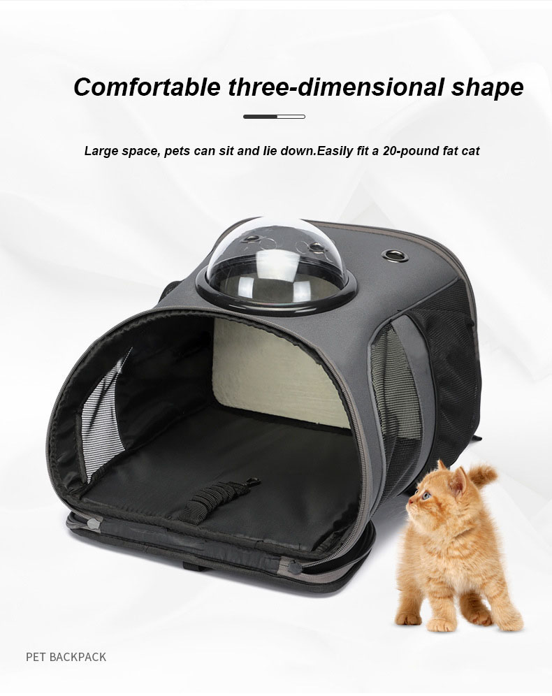 Pet Travel Carrier