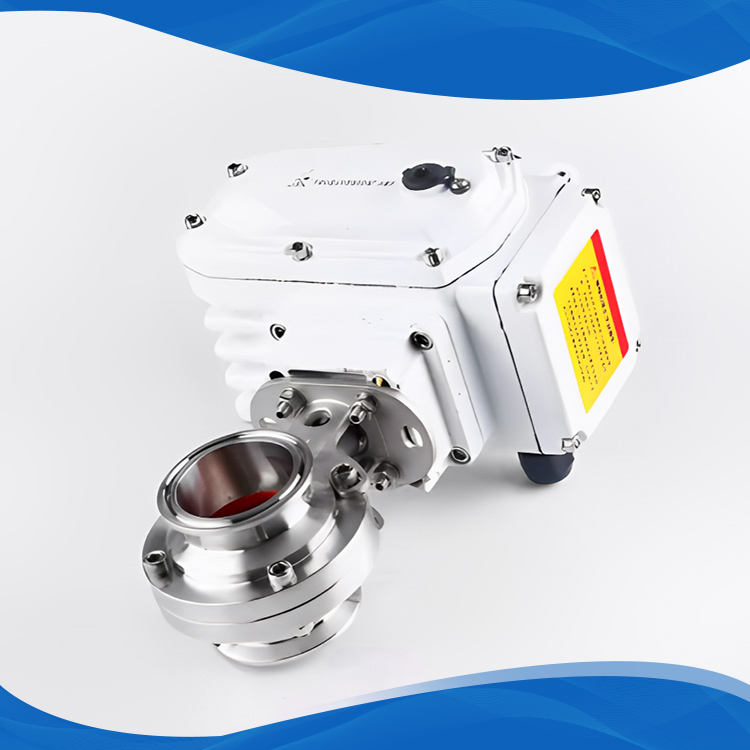 Quick Installation Butterfly Valve