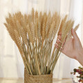 50 pcs Dried Flower Decor Bundle Dry Wheat Dried Flowers Big Pack Flowers for Weddings Natural Home Decorations Artificial Wheat