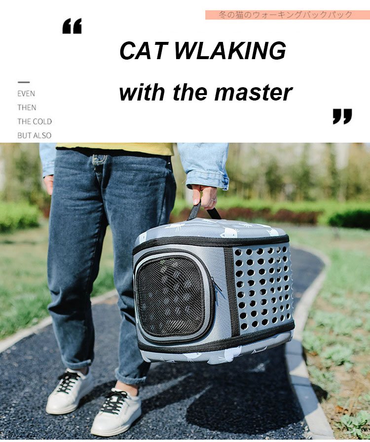 Pet Travel Carrier