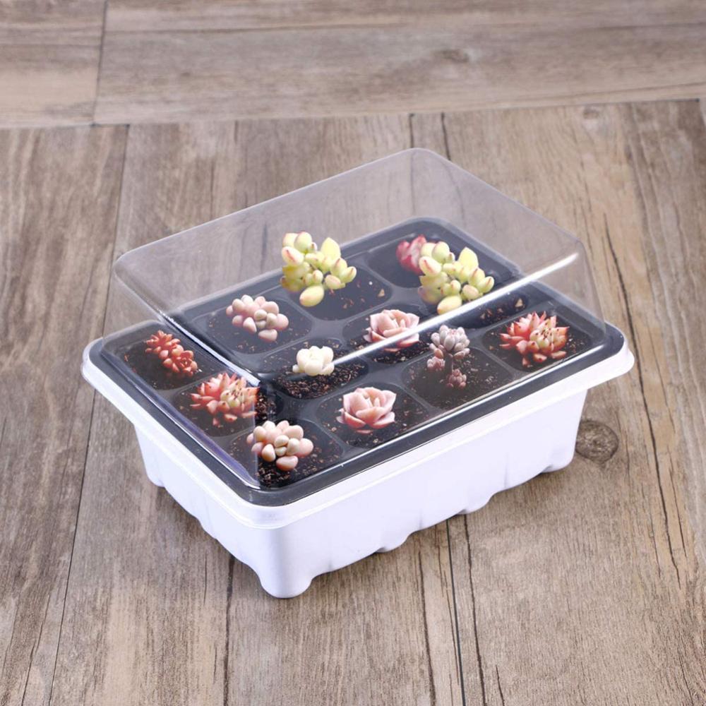 5/10Pcs Sprouting Trays Planting Seedling Trays Germination Trays Crop Cultivation Trays Succulent Plant Plate