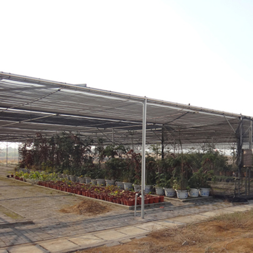 External and Internal Sun Shading for Greenhouse Manufacturers and External and Internal Sun Shading for Greenhouse Suppliers