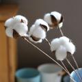 10Pcs Naturally Dried Cotton Flower Artificial Plants Floral Short Branch For Wedding Party Decoration Fake Flowers Home Decor