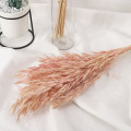 A Bunch Wheat Flower Decoration Natural Pampas Rabbit Tail Grass Dried Flowers for Wedding Party DIY Craft Scrapbook Bouquet