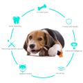 Dog Interactive Toy Cleaning Teeth Squeaky Interactive Animal Shaped Cotton Rope Dog Toy Pet Training Products Pet Chew Toys