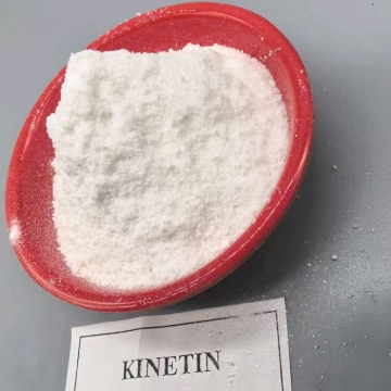 Application of Cytokinin Kinetin in Ecuador