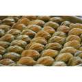 Mussel Shape Baklava (Gulluoglu's most famous) with pistachio 5 pcs 0.55lb-250 gr.