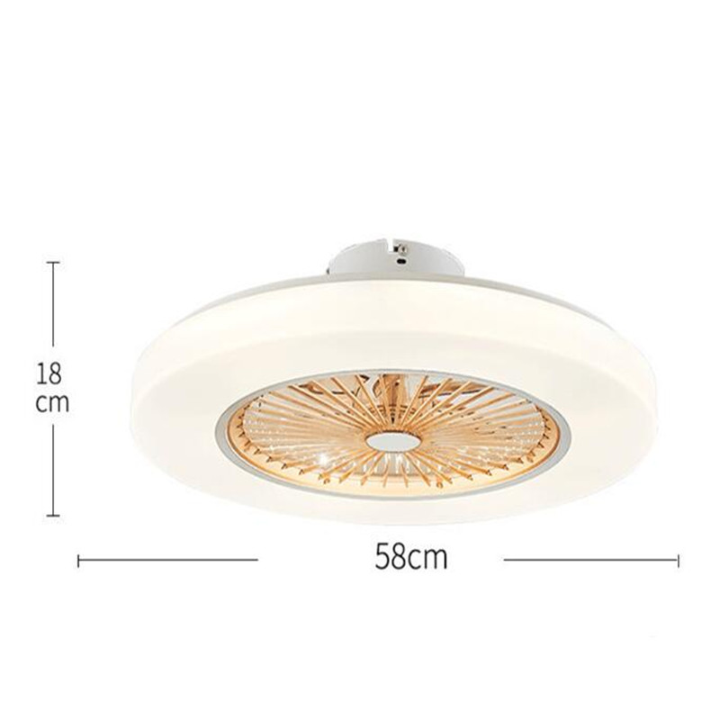 Modern Ceiling Fans With LED Lights dimming remote control ceiling fan lights Living room Bedroom 110V 220V enclosed ceiling fan