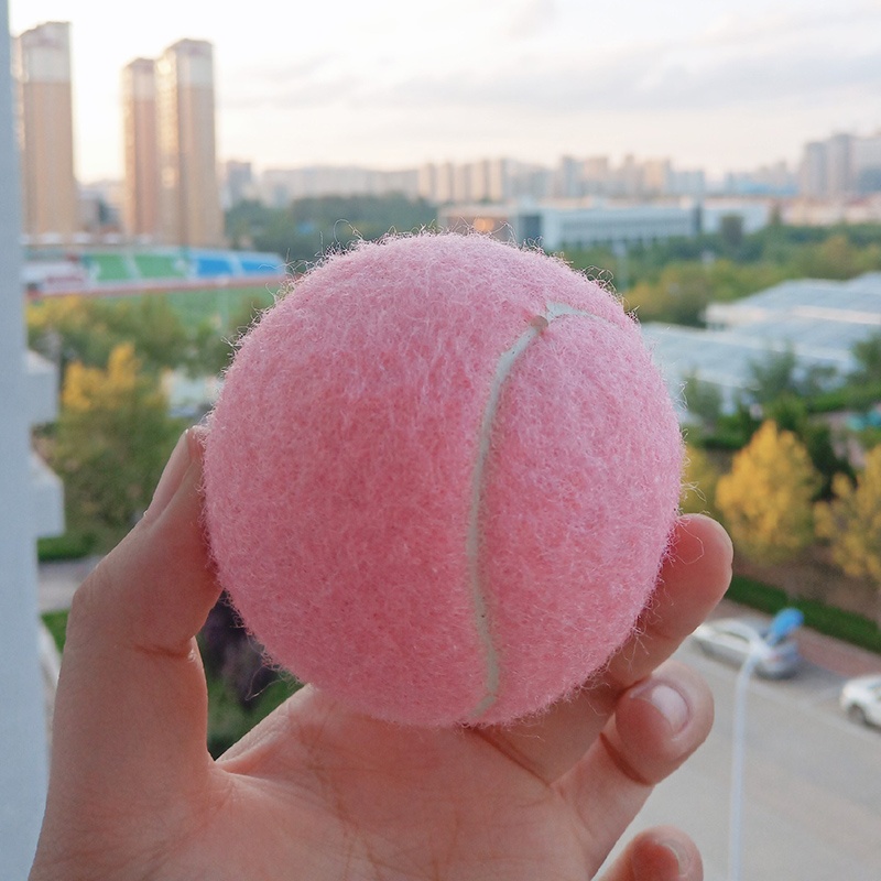 6pcs Pack Pink Tennis Balls Wear-resistant Elastic Training Balls 66mm Ladies Beginners Practice Tennis Ball for School Club