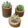 Rustic Wooden Candlestick Tealight Candle Holder Table Decoration Plant Flower Plot Ornament Craft 6x7cm