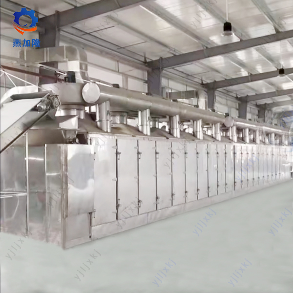 Vibrating Belt Drying Machine for Rehmannia