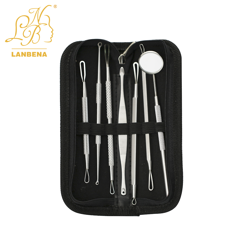 LANBENA 6 PCS Pimple Needle Acne Needl Acne Removal Needle Blackhead Remover Acne Treatment Black Mask Acne Remover Skin Care