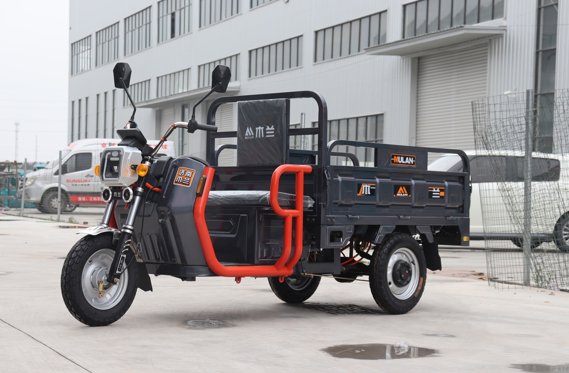 Cargo Electric Tricycle