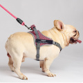 Nylon Reflective Name Harness Vest Strap Small Medium Large Dog Personalized Harness Outside Anti-strike Pet Harness Leash Set